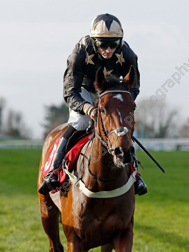 Macari-0001 
 MACARI (Marc Goldstein)
Sandown 8 Dec 2023 - Pic Steven Cargill / Racingfotos.com