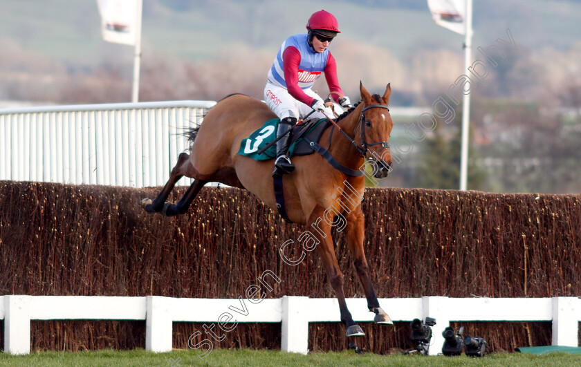 The-Worlds-End-0003 
 THE WORLDS END (Noel Fehily) wins The Neville Lumb Novices Chase
Cheltenham 14 Dec 2018 - Pic Steven Cargill / Racingfotos.com