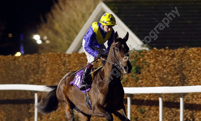 Spanish-Voice-0001 
 SPANISH VOICE (Oisin Murphy)
Kempton 4 Dec 2024 - Pic Steven Cargill / Racingfotos.com