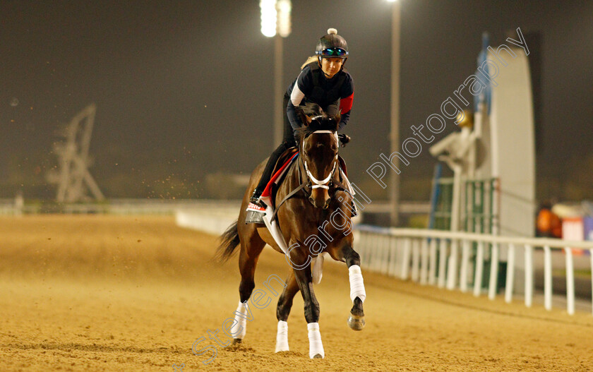 Life-Is-Good-0007 
 LIFE IS GOOD training for the Dubai World Cup
Meydan, Dubai, 23 Mar 2022 - Pic Steven Cargill / Racingfotos.com