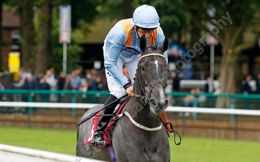 Got-To-Love-A-Grey-0001 
 GOT TO LOVE A GREY (Sam James)
Haydock 24 May 2024 - Pic Steven cargill / Racingfotos.com