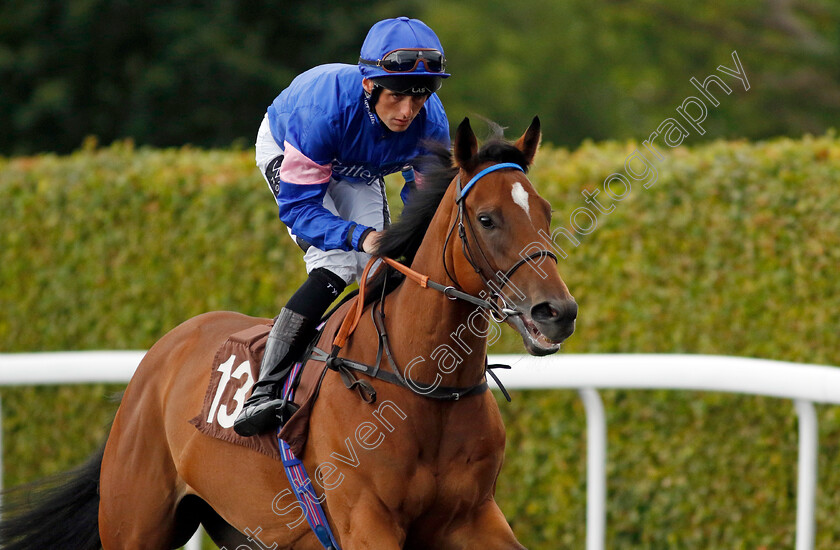 Tiete-0001 
 TIETE (Trevor Whelan)
Kempton 7 Aug 2024 - Pic Steven Cargill / Racingfotos.com