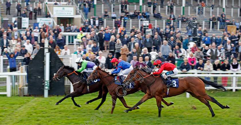 Cliffcake-0002 
 CLIFFCAKE (Lewis Edmunds) beats LIGHT LILY (centre) and KATYUSHA (right) in The Read Hollie Doyle's Column On attheraces.com Handicap
Yarmouth 19 Oct 2021 - Pic Steven Cargill / Racingfotos.com