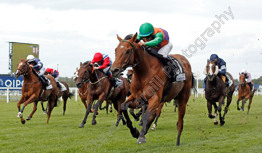 Equitation-0003 
 EQUITATION (Marco Ghiani) wins The Sodexo Handicap
Ascot 6 Sep 2019 - Pic Steven Cargill / Racingfotos.com