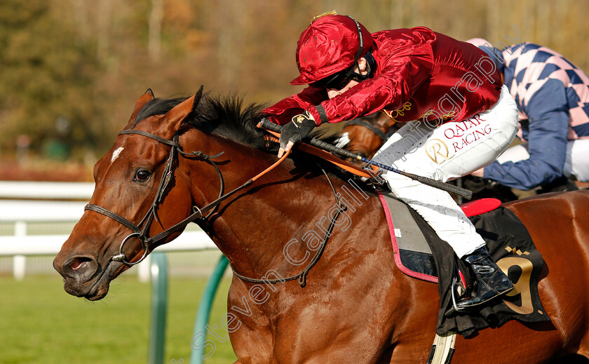 Twisted-Reality-0007 
 TWISTED REALITY (Cieren Fallon) wins The Play 3-2-Win At Mansionbet EBF Maiden Fillies Stakes Div 2
Nottingham 4 Nov 2020 - Pic Steven Cargill / Racingfotos.com