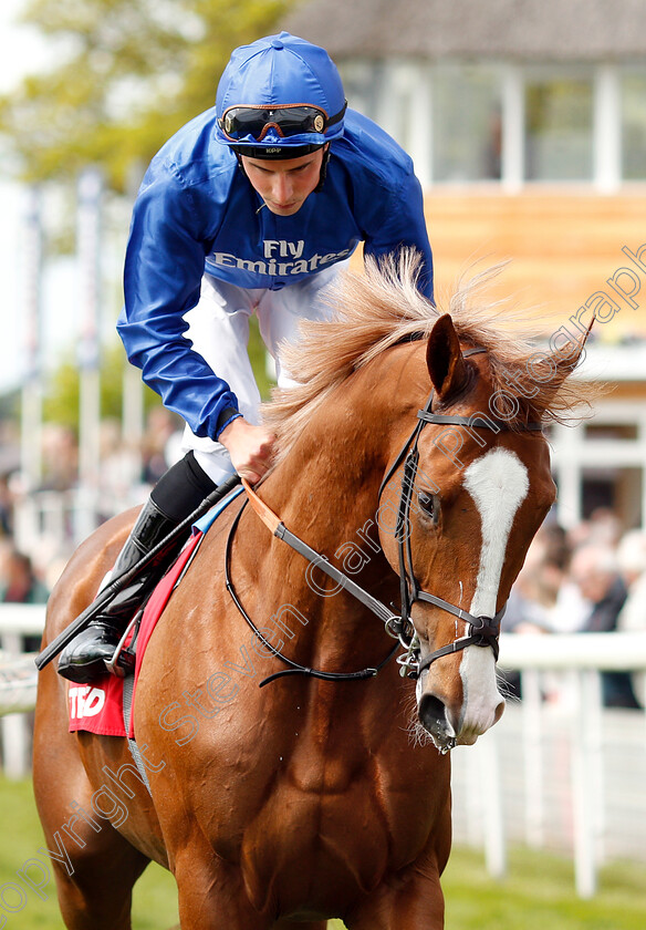 Nordic-Lights-0003 
 NORDIC LIGHTS (William Buick)
York 17 May 2018 - Pic Steven Cargill / Racingfotos.com