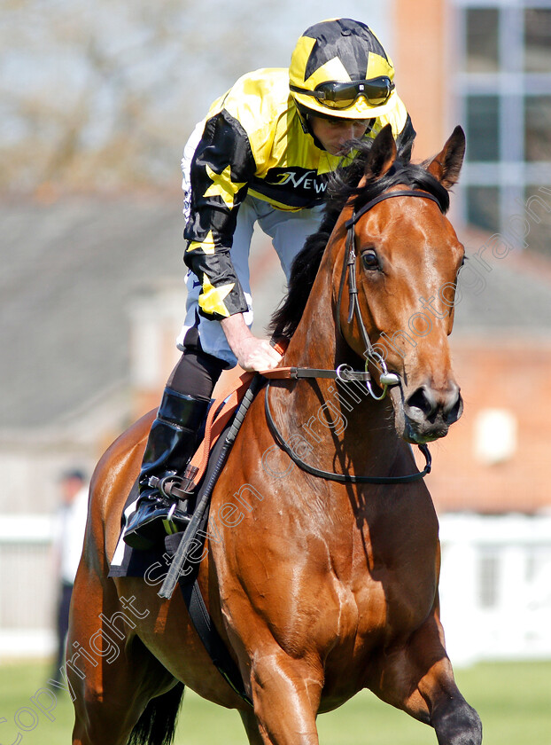 Hazarfiya-0001 
 HAZARFIYA (Ryan Moore) Newbury 20 Apr 2018 - Pic Steven Cargill / Racingfotos.com