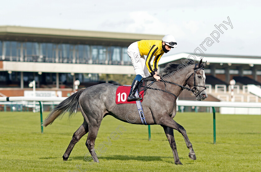 Luncies-0003 
 LUNCIES (Callum Shepherd) winner of The Watch Racing On Betfair For Free Handicap
Haydock 4 Sep 2020 - Pic Steven Cargill / Racingfotos.com