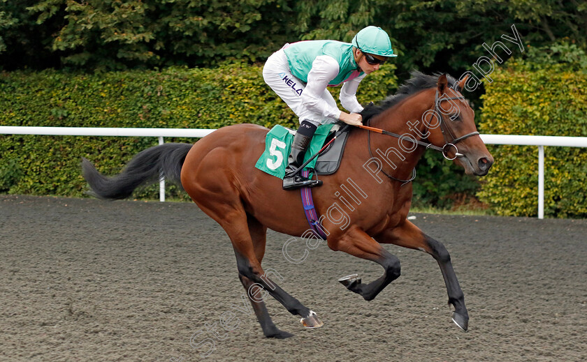 Farizio-0001 
 FARIZIO (Jason Watson)
Kempton 8 Sep 2023 - Pic Steven Cargill / Racingfotos.com