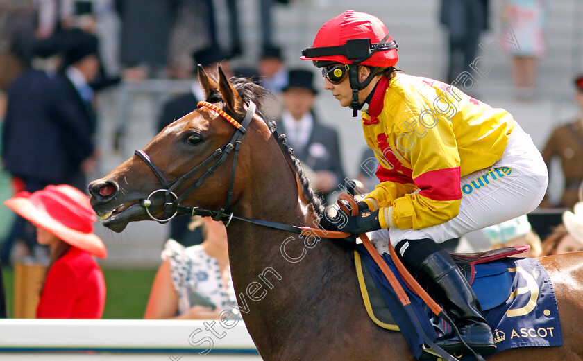 Kylie-Of-Lochalsh-0001 
 KYLIE OF LOCHALSH (Hayley Turner)
Royal Ascot 21 Jun 2024 - Pic Steven Cargill / Racingfotos.com