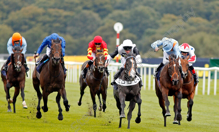 Tip-Two-Win-0002 
 TIP TWO WIN (centre, Adam Kirby) beats AQABAH (left) and TIGRE DU TERRE (right) in The Weatherbys Bank Foreign Exchange Flying Scotsman Stakes Doncaster 15 Sep 2017 - Pic Steven Cargill / Racingfotos.com