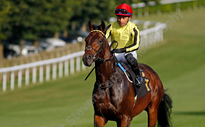 Flying-Fortress-0001 
 FLYING FORTRESS (Silvestre de Sousa)
Newmarket 9 Aug 2024 - Pic Steven Cargill / Racingfotos.com