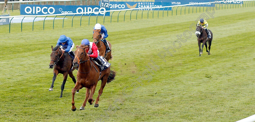 Threat-0001 
 THREAT (Tom Marquand) wins The Hot Streak Maiden Stakes
Newmarket 5 May 2019 - Pic Steven Cargill / Racingfotos.com