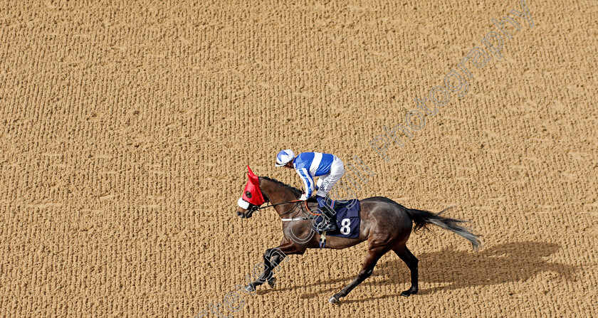 Notre-Belle-Bete-0001 
 NOTRE BELLE BETE (David Probert) winner of The Mansionbet Lincoln Trial Handicap
Wolverhampton 12 Mar 2022 - Pic Steven Cargill / Racingfotos.com