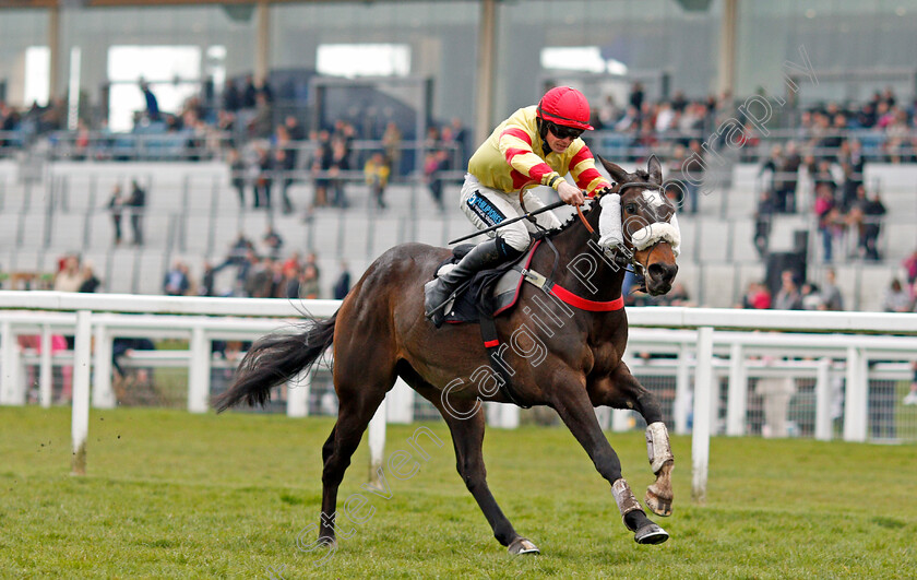 Sir-Will-0002 
 SIR WILL (Richard Patrick) wins The Iron Stand Conditional Jockeys Handicap Hurdle Ascot 25 Mar 2018 - Pic Steven Cargill / Racingfotos.com