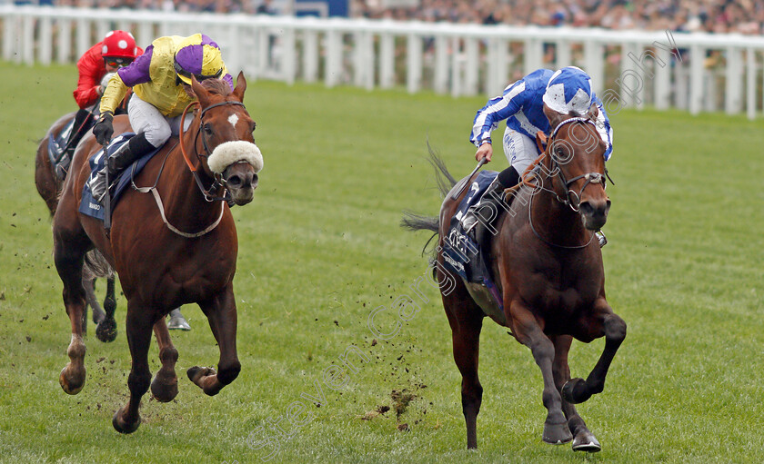 Donjuan-Triumphant-0005 
 DONJUAN TRIUMPHANT (Silvestre De Sousa) beats BRANDO (left) in The Qipco British Champions Sprint Stakes
Ascot 19 Oct 2019 - Pic Steven Cargill / Racingfotos.com