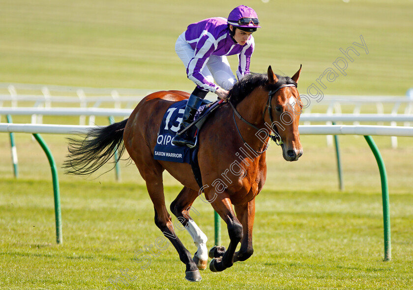 Saxon-Warrior-0002 
 SAXON WARRIOR (Donnacha O'Brien) before winning The Qipco 2000 Guineas Newmarket 5 May 2018 - Pic Steven Cargill / Racingfotos.com