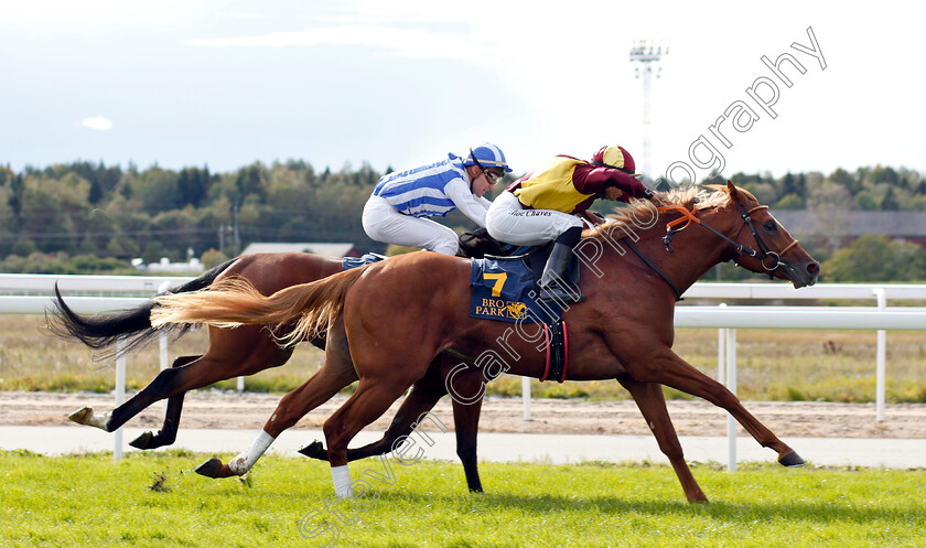 Red-Cactus-0006 
 RED CACTUS (Elione Chaves) wins The Timeform Svealandlopning
Bro Park, Sweden 23 Sep 2018 - Pic Steven Cargill / Racingfotos.com