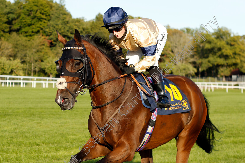 Outbox-0003 
 OUTBOX (Hollie Doyle)
Bro Park 17 Sep 2023 - Pic Steven Cargill / Racingfotos.com