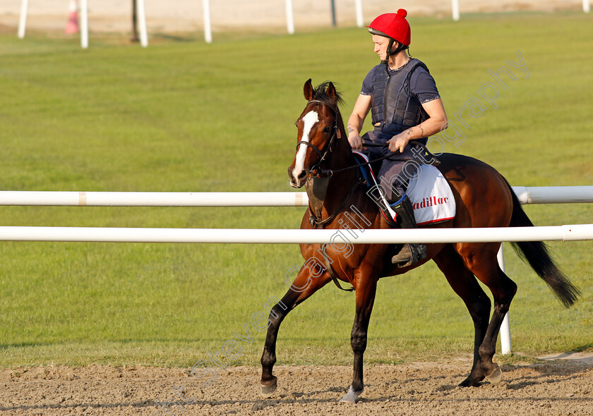 Cadillac-0001 
 CADILLAC exercising in preparation for Friday's Bahrain International Trophy
Sakhir Racecourse, Bahrain 16 Nov 2021 - Pic Steven Cargill / Racingfotos.com