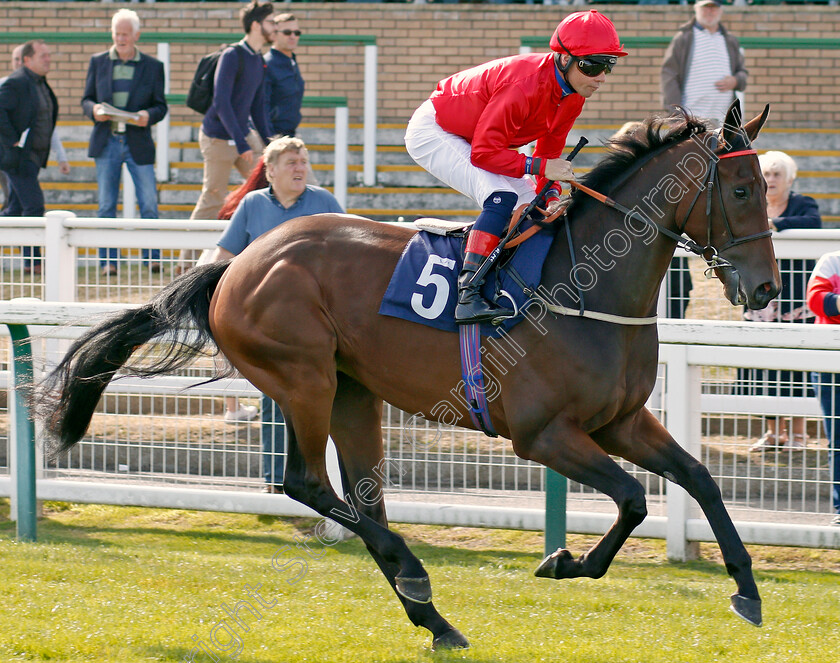 One-Night-Stand-0001 
 ONE NIGHT STAND (Adrian McCarthy)
Yarmouth 17 Sep 2019 - Pic Steven Cargill / Racingfotos.com