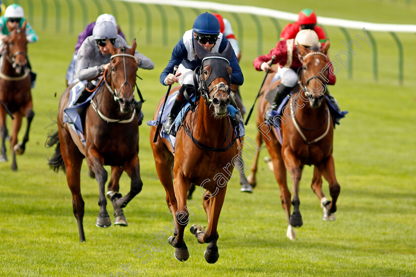 Commissioning-0005 
 COMMISSIONING (Robert Havlin) wins The Al Basti Equiworld Dubai Rockfel Stakes
Newmarket 23 Sep 2022 - Pic Steven Cargill / Racingfotos.com