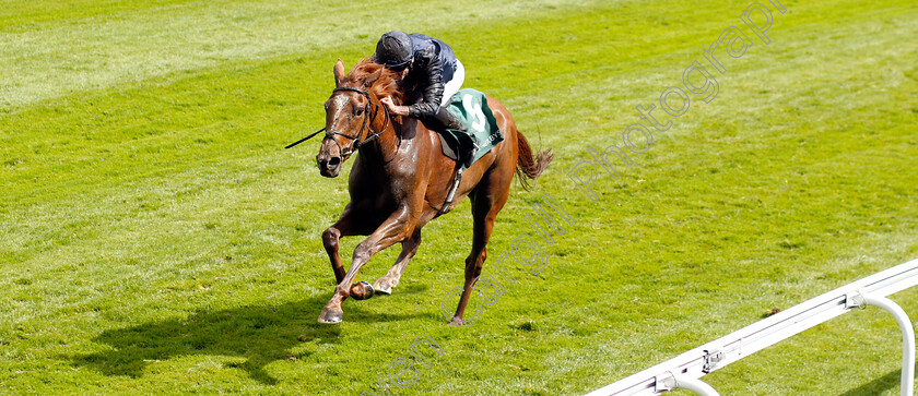 Savethelastdance-0006 
 SAVETHELASTDANCE (Ryan Moore) wins The Weatherbys Digital Solutions Cheshire Oaks
Chester 10 May 2023 - Pic Steven Cargill / Racingfotos.com