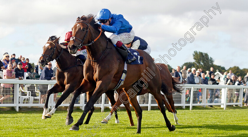 Summer-Of-Love-0001 
 SUMMER OF LOVE (Oisin Murphy) wins The Join Moulton Racing Syndicate Fillies Handicap
Yarmouth 17 Sep 2024 - Pic Steven Cargill / Racingfotos.com