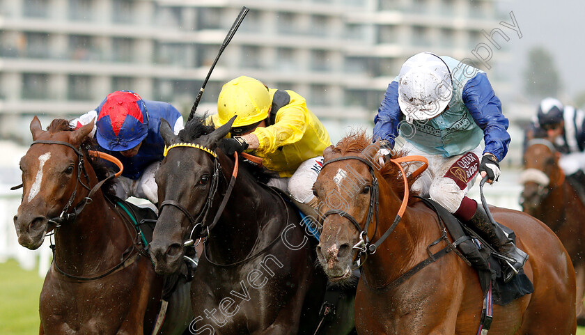 Ritchie-Valens-0005 
 RITCHIE VALENS (right, Oisin Murphy) beats TAMMOOZ (centre) and FANTASTIC BLUE (left) in The Oakgrove Graduates Handicap
Newbury 6 Aug 2019 - Pic Steven Cargill / Racingfotos.com