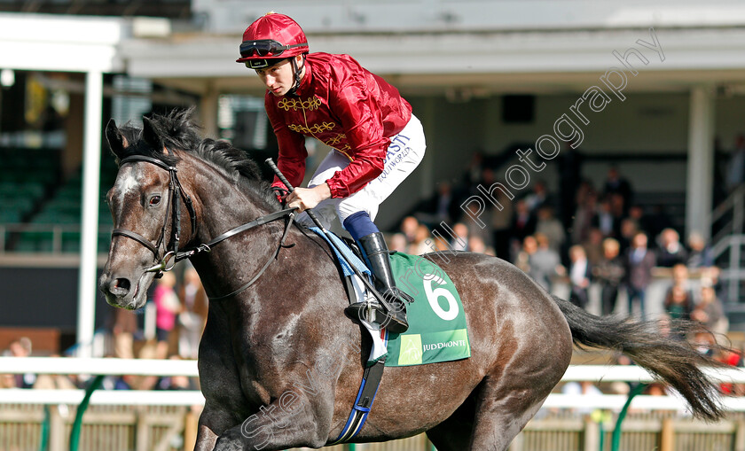 Roaring-Lion-0003 
 ROARING LION (Oisin Murphy) winner of The Juddmonte Royal Lodge Stakes Newmarket 30 Sep 2017 - Pic Steven Cargill / Racingfotos.com