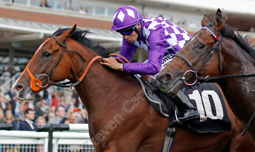 Orange-Suit-0005 
 ORANGE SUIT (Sean Levey) wins The British Stallion Studs EBF Maiden Stakes Div1 Newbury 22 Sep 2017 - Pic Steven Cargill / Racingfotos.com