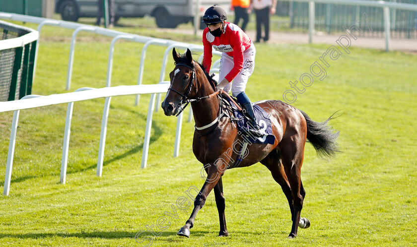 Blue-Hero-0001 
 BLUE HERO (Callum Shepherd)
Yarmouth 15 Sep 2020 - Pic Steven Cargill / Racingfotos.com