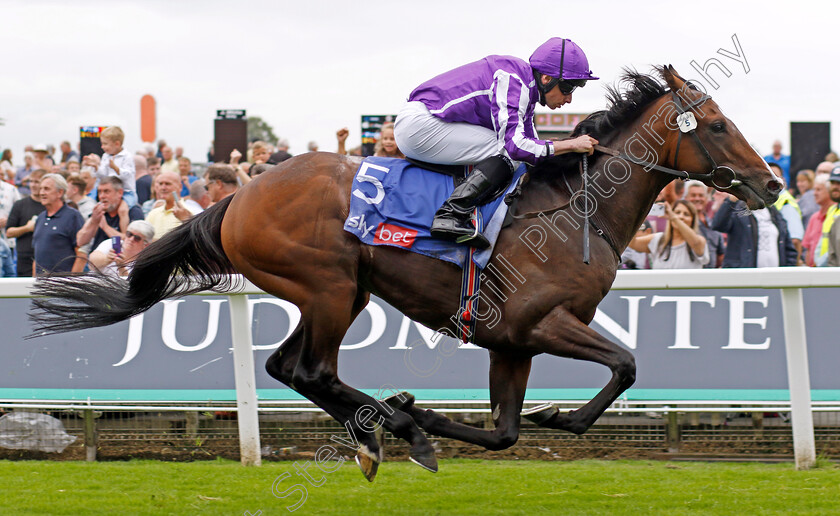 Continuous-0002 
 CONTINUOUS (Ryan Moore) wins The Sjy Bet Great Voltigeur Stakes
York 23 Aug 2023 - Pic Steven Cargill / Racingfotos.com