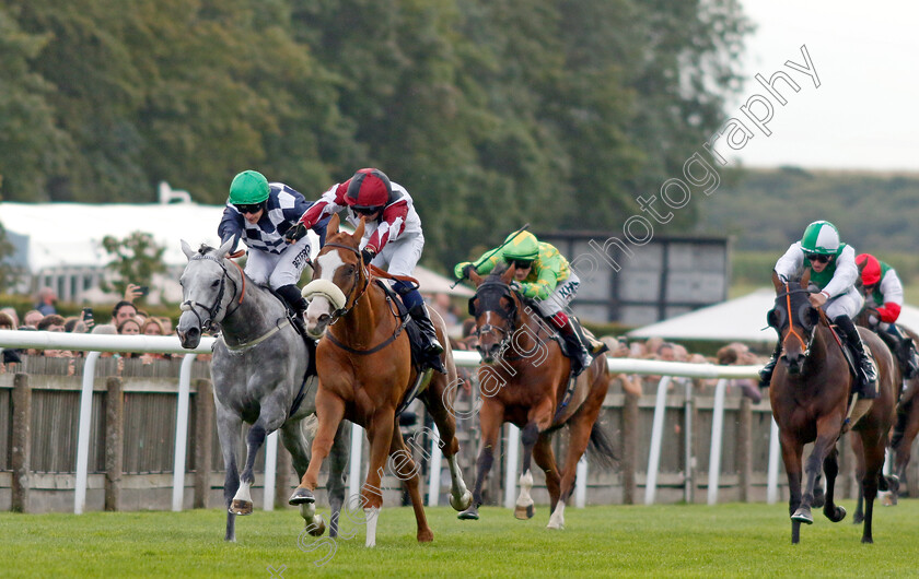 Squeezebox-0006 
 SQUEEZEBOX (Frederick Larson) beats GORDON GREY (left) in The Join Racing TV Now Handicap
Newmarket 28 Jul 2023 - Pic Steven Cargill / Racingfotos.com