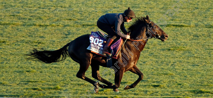 Big-Mojo-0001 
 BiG MOJO (Tom Marquand) training for the Breeders' Cup Juvenile Turf Sprint
Del Mar USA 30 Oct 2024 - Pic Steven Cargill / Racingfotos.com