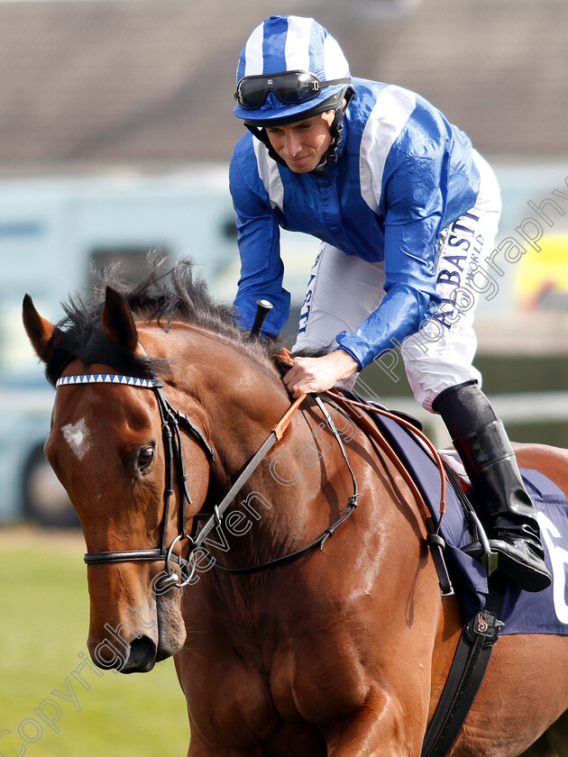 Edaraat-0001 
 EDARAAT (Ryan Moore)
Yarmouth 23 Apr 2019 - Pic Steven Cargill / Racingfotos.com