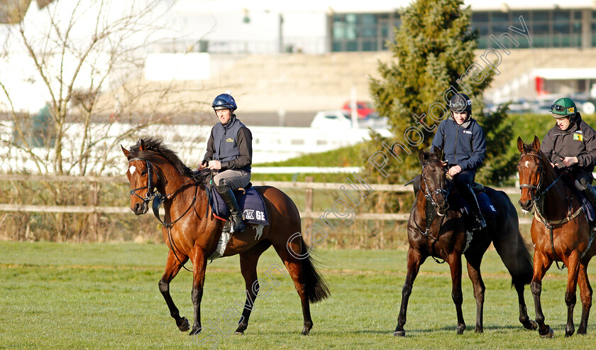 Tiger-Roll-0009 
 TIGER ROLL exercising on the eve of the Cheltenham Festival
Cheltenham 14 Mar 2022 - Pic Steven Cargill / Racingfotos.com