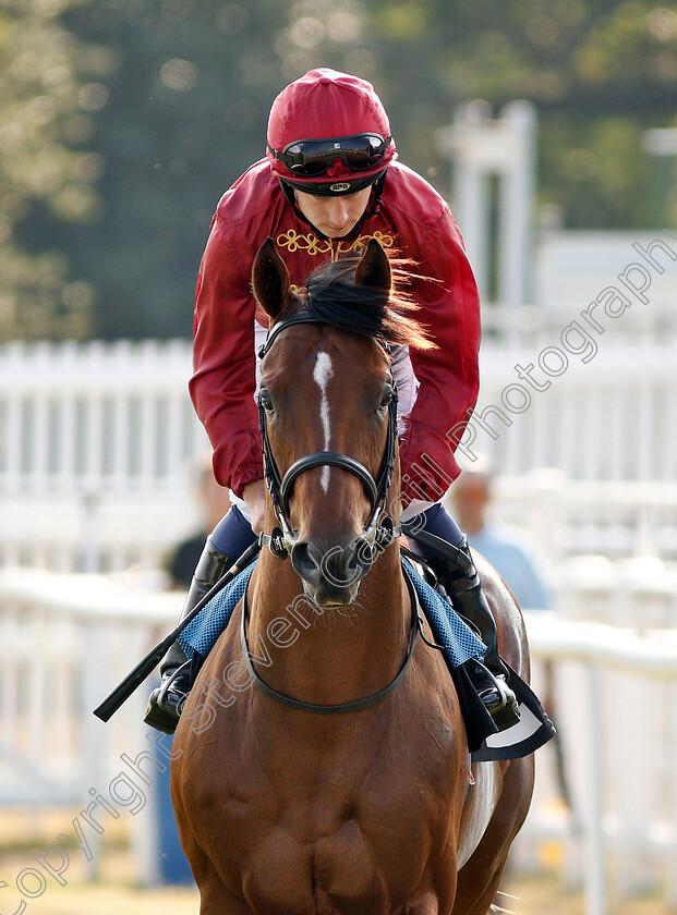 Legends-Of-War-0001 
 LEGENDS OF WAR (Oisin Murphy) before winning The Compton Beauchamp Estates Ltd EBF Novice Stakes
Newbury 26 Jul 2018 - Pic Steven Cargill / Racingfotos.com