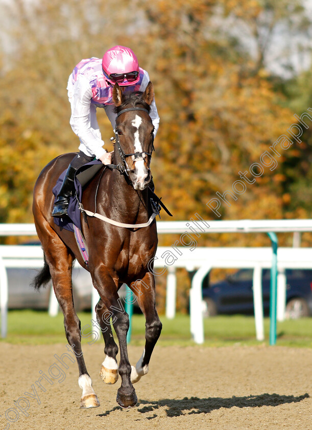 Golden-Hind-0001 
 GOLDEN HIND (Rossa Ryan)
Lingfield 28 Oct 2021 - Pic Steven Cargill / Raingfotos.com