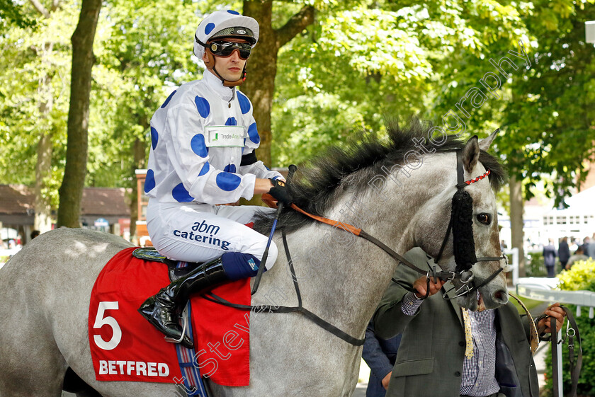 King-Of-Stars 
 KING OF STARS (Alistair Rawlinson)
Haydock 28 May 2022 - Pic Steven Cargill / Racingfotos.com