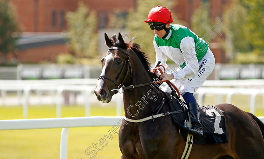 Pyledriver-0002 
 PYLEDRIVER (Martin Dwyer)
Newbury 17 Aug 2019 - Pic Steven Cargill / Racingfotos.com