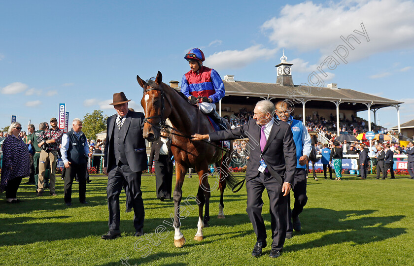 Jan-Brueghel-0009 
 JAN BRUEGHEL (Sean Levey) winner of The Betfred St Leger 
Doncaster 14 Sep 2024 - Pic Steven Cargill / Racingfotos.com