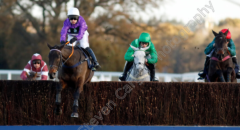 Rare-Edition-0001 
 RARE EDITION (David Bass)
Ascot 22 Nov 2024 - Pic Steven Cargill / Racingfotos.com