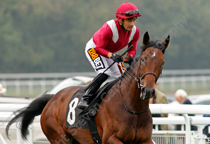 Savaanah-0002 
 SAVAANAH (Silvestre De Sousa) Goodwood 27 Sep 2017 - Pic Steven Cargill / Racingfotos.com