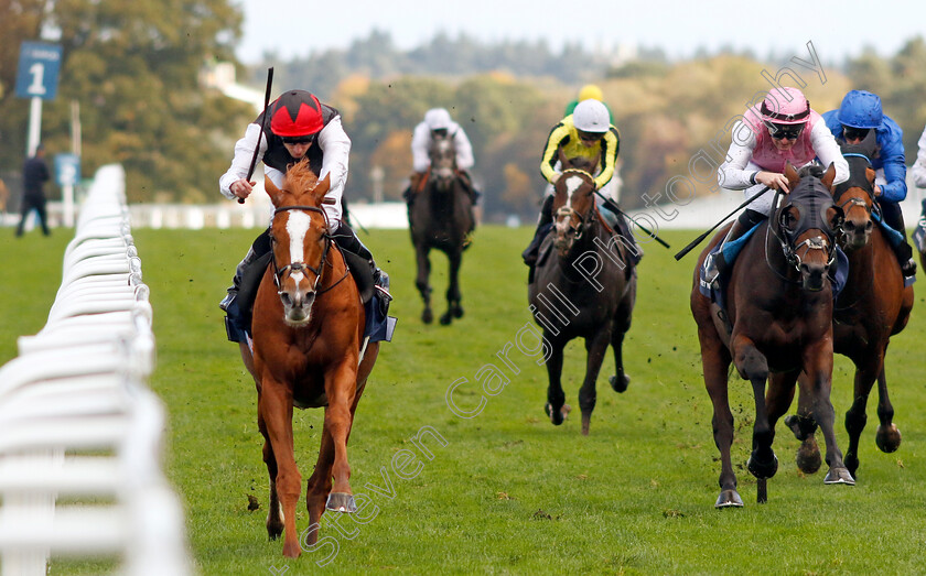 Kyprios-0004 
 KYPRIOS (Ryan Moore) wins The Qipco British Champions Long Distance Cup
Ascot 19 Oct 2024 - Pic Steven Cargill / Racingfotos.com