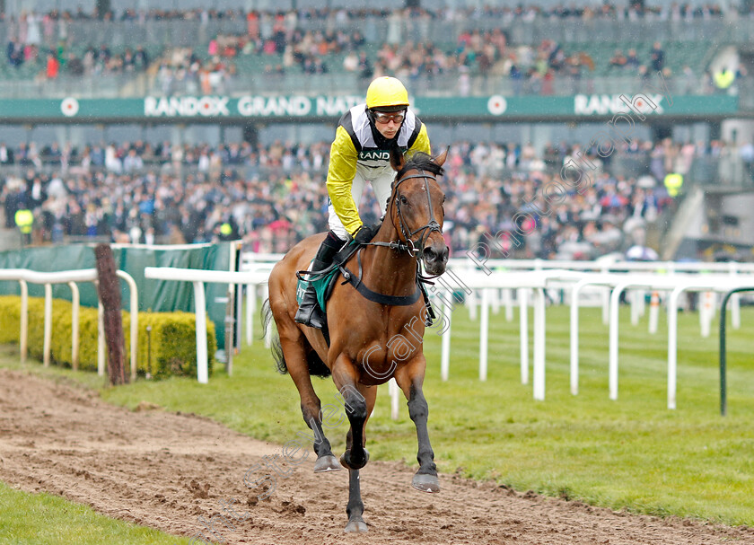 Galia-Des-Liteaux-0001 
 GALIA DES LITEAUX (Harry Skelton)
Aintree 14 Apr 2023 - Pic Steven Cargill / Racingfotos.com