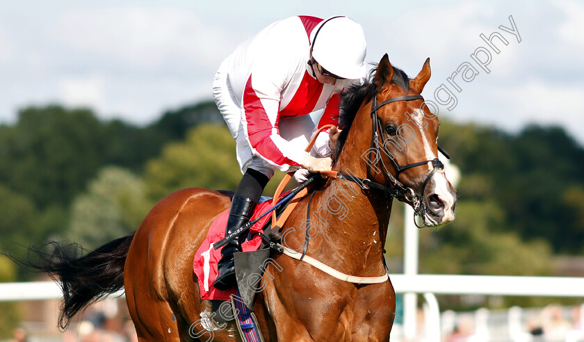 Goshen-0006 
 GOSHEN (Hector Crouch) wins The Carpetright Supports The BHF Handicap
Sandown 14 Jun 2019 - Pic Steven Cargill / Racingfotos.com