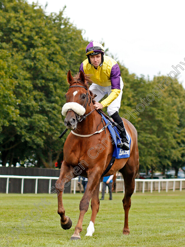 Brando-0001 
 BRANDO (Tom Eaves)
Newmarket 13 Jul 2019 - Pic Steven Cargill / Racingfotos.com