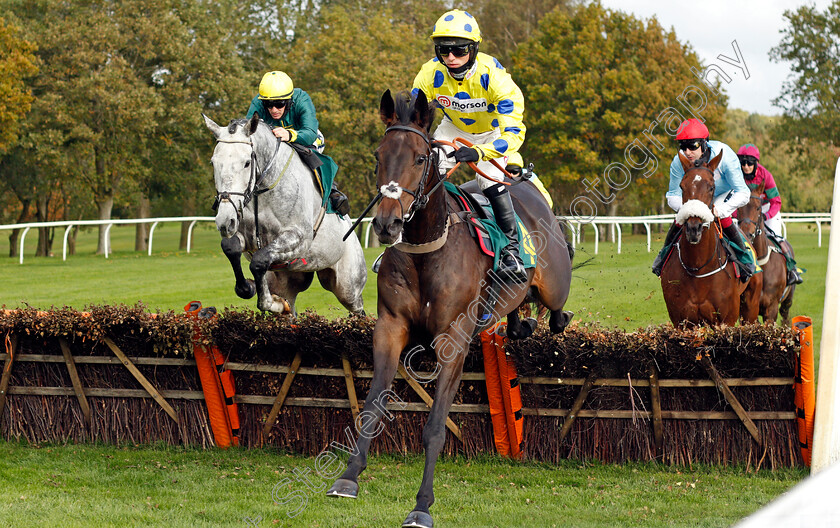 Switch-Hitter-0002 
 SWITCH HITTER (Harry Cobden)
Fakenham 16 Oct 2020 - Pic Steven Cargill / Racingfotos.com