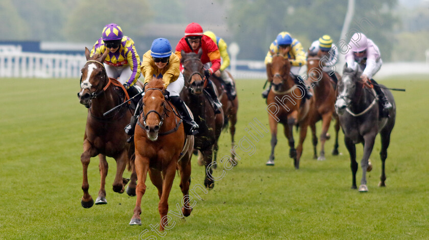 Two-Tempting-0004 
 TWO TEMPTING (Olivia Tubb) wins The Manny Mercer Apprentice Handicap
Ascot 1 May 2024 - Pic Steven Cargill / Racingfotos.com